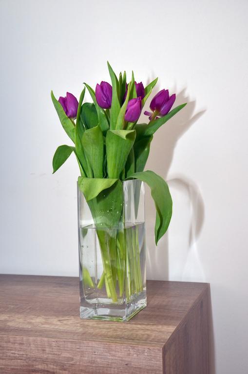 Mivos Prague Apartments Ngoại thất bức ảnh